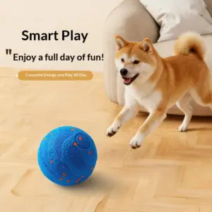 bola brinquedo interativo cães