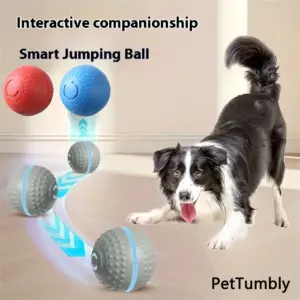 bola interativa automática para cães