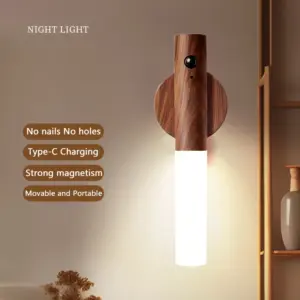 lâmpada de indução led night light