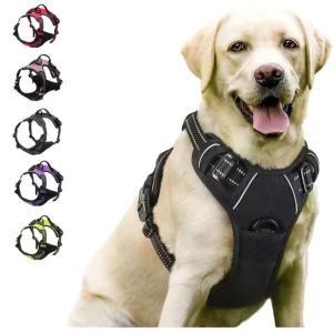 arnês ajustável para cães