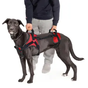 arnês de elevação para cães