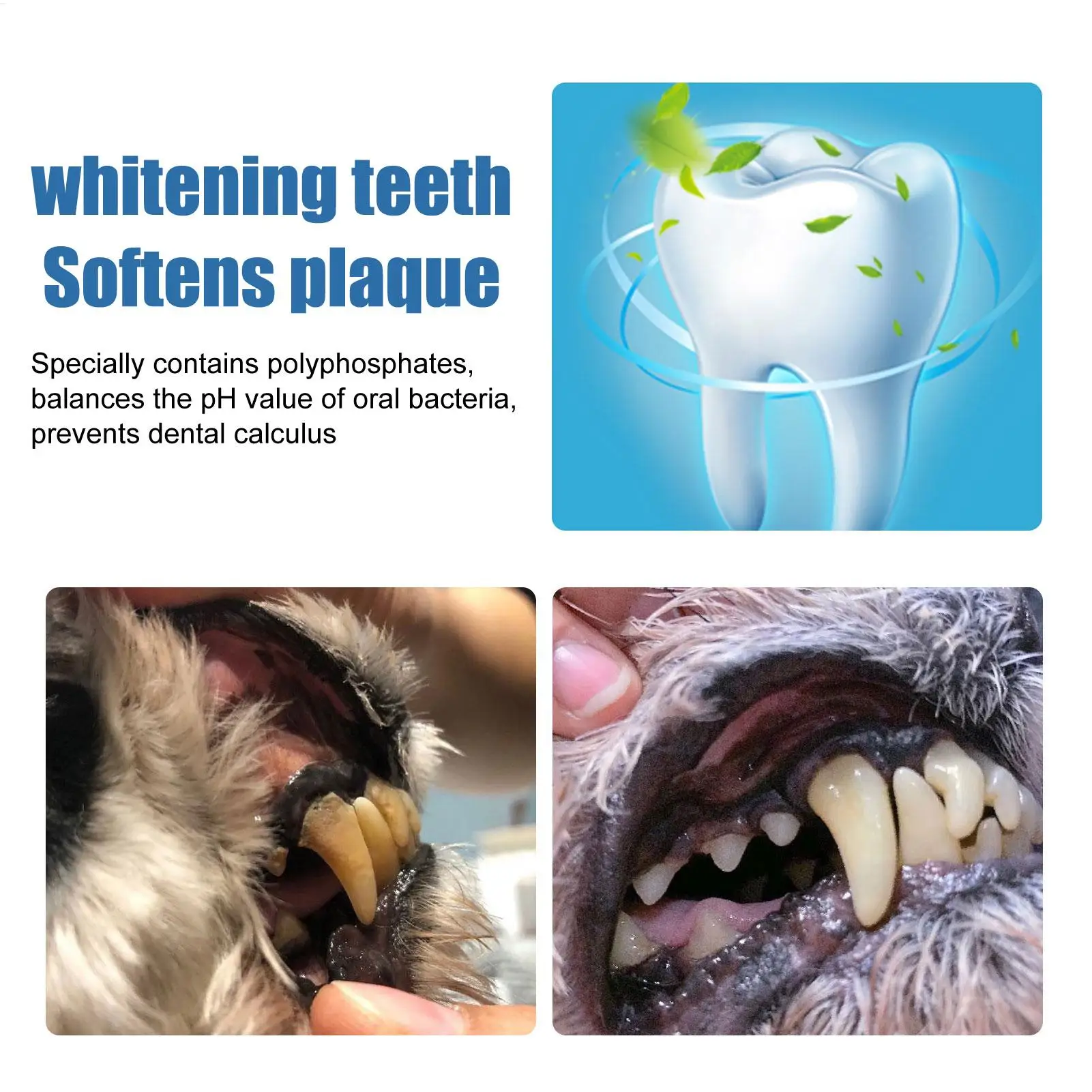 Espuma Bucal para Cães e Gatos Limpeza de Tártaro e Placas - Imagem 2
