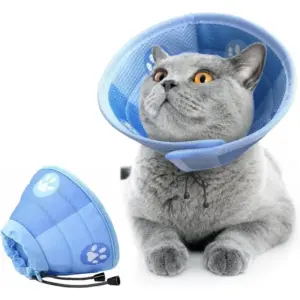 colar ajustável de recuperação para gato