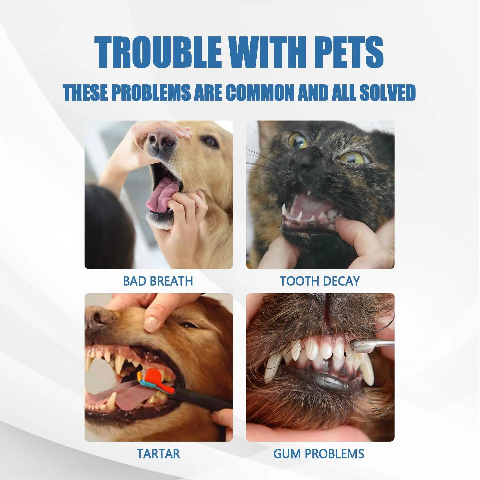 Removedor de Tártaro Cães Espuma Bucal Sem Enxágue - Imagem 5