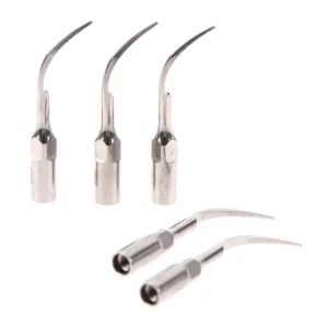 pontas de limpeza dental P1
