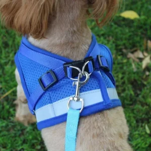colete arnês com trela para cães