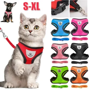 coleira peitoral ajustável cães gatos