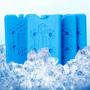 bolsa de gelo reutilizável clássica