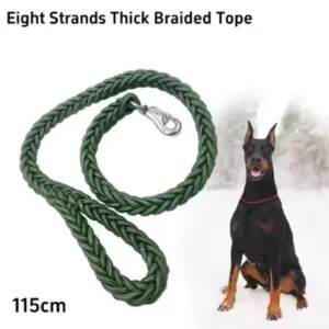 coleira guia nylon cães médios grandes