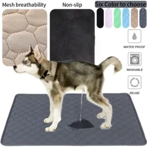 tapete higiênico reutilizável para cães