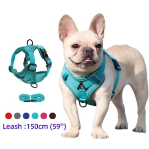 conjunto arnês e trela poliéster para cães