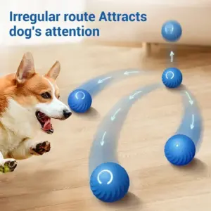 bola de brinquedo inteligente para cães