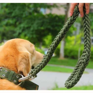 coleira nylon cães médios grandes