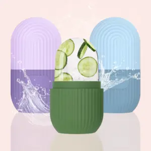 molde de máscara de gelo facial de silicone