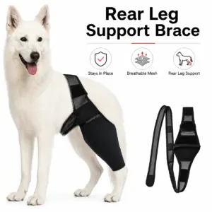 suporte traseiro ajustável para cães