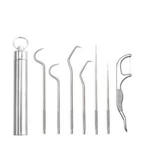 kit limpeza bucal portátil