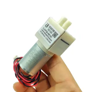 bomba de vácuo DC 12V