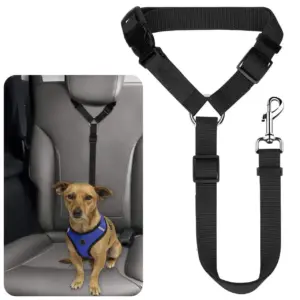 cinto de segurança para cães nylon