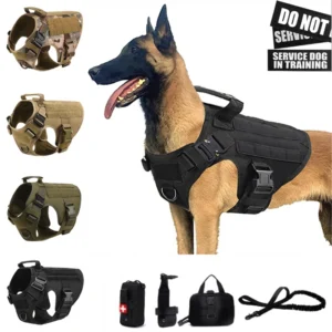 colete tático militar cães