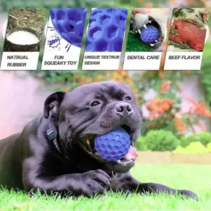 brinquedo de borracha durável para cães