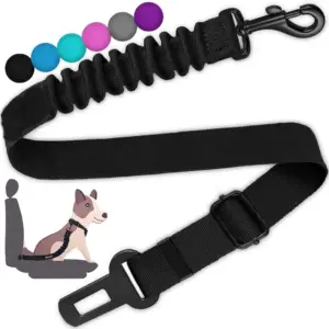 cinto de segurança para cães